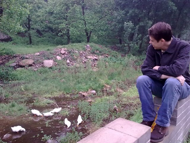 Todd watching ducks feed in a stream